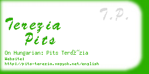 terezia pits business card